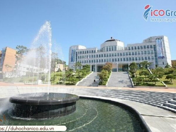 truong dai hoc dankook