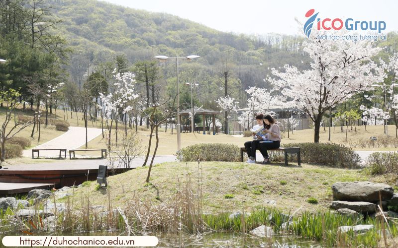cuoc song cua du hoc sinh tai dai hoc dankook