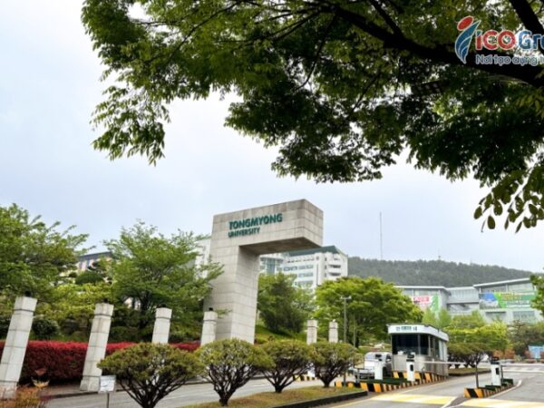 truong dai hoc tongmyong