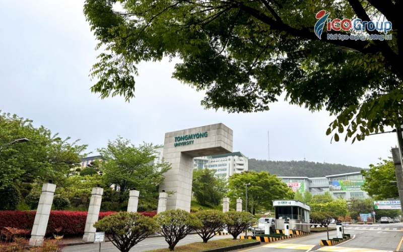 truong dai hoc tongmyong