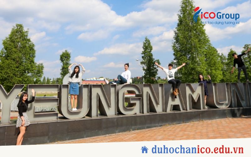 vi sao nen du hoc dai hoc yeungnam