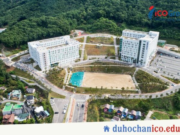du hoc dai hoc joongbu