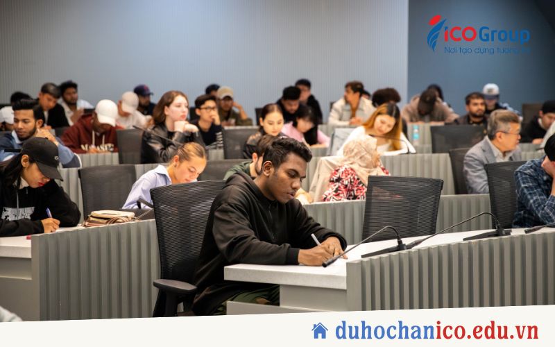 chuong trinh dao tao dai hoc woosong