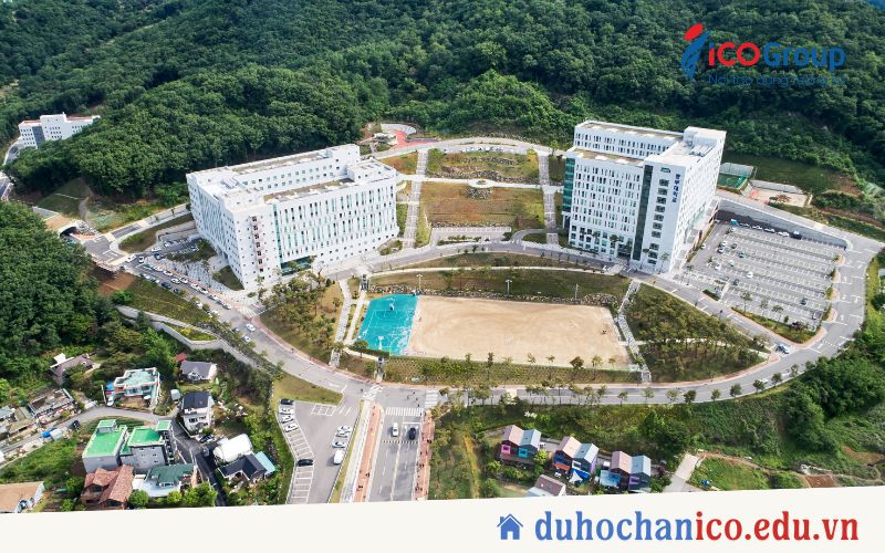 du hoc dai hoc joongbu