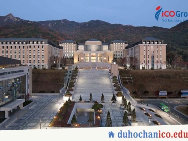du hoc dai hoc ngoai ngu busan