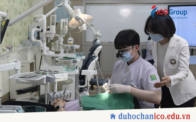 chuong trinh dao tao dai hoc silla