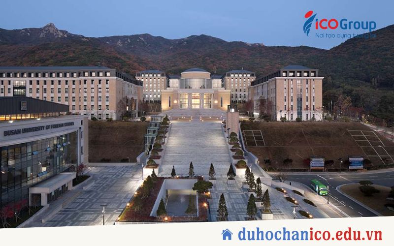 du hoc dai hoc ngoai ngu busan