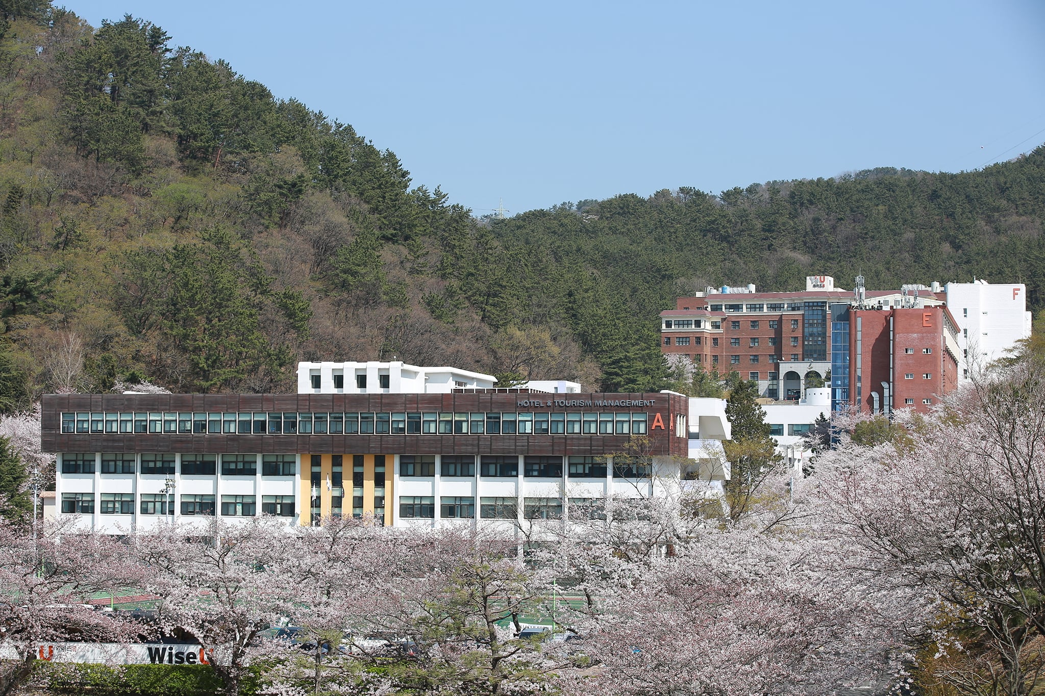 Đại học Youngsan