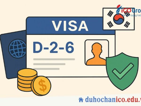 visa d2-6 la gi